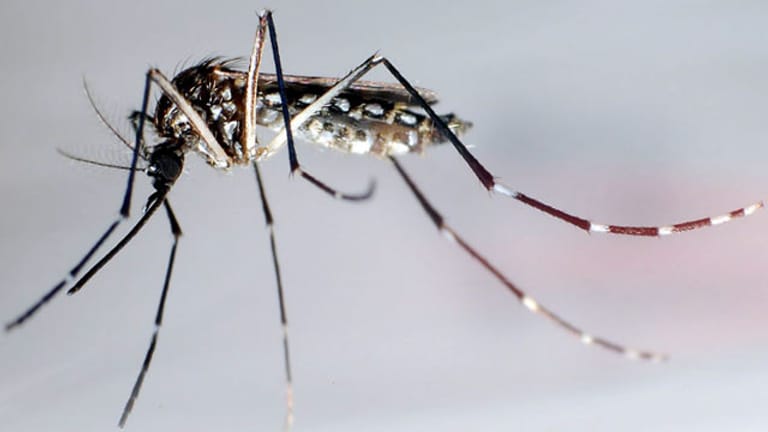 Chikungunya-Fieber