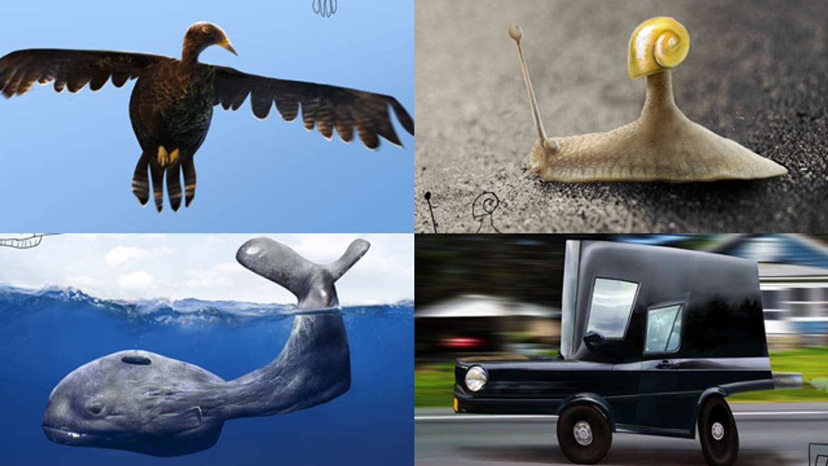 洋書 Kinderzeichnungen aus aller Welt 洋書 Kinderzeichnungen aus aller Welt 洋書 Kinderzeichnungen