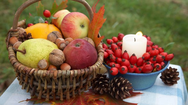 Ob als Gastgeschenk oder für das eigene Haus - der Erntedankkorb ist eine schöne, herbstliche Dekoration