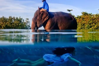 Diese Reisefotos sind preisgekrönt und erhielt den Award des "Travel Photographer of the Year". Dieses Bild von Justin Mott (USA) zeigt ein Mädchen, das in Phuket scheinbar unter einem Elefanten hindurch taucht.