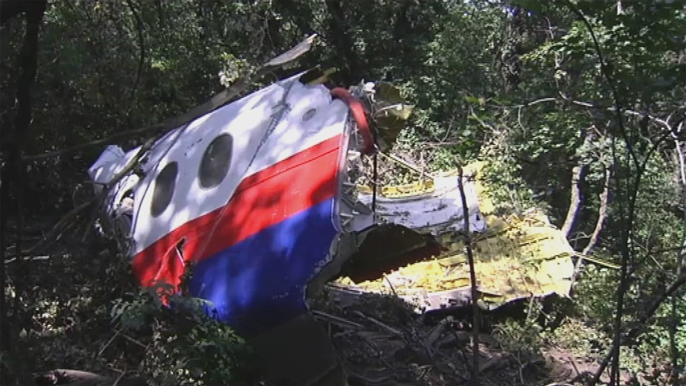 In der Ostukraine wurde nach dem Absturz des Malaysia-Airlines-Flugzeugs ein weiteres Wrackteil gefunden.