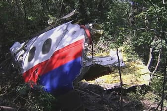 In der Ostukraine wurde nach dem Absturz des Malaysia-Airlines-Flugzeugs ein weiteres Wrackteil gefunden.
