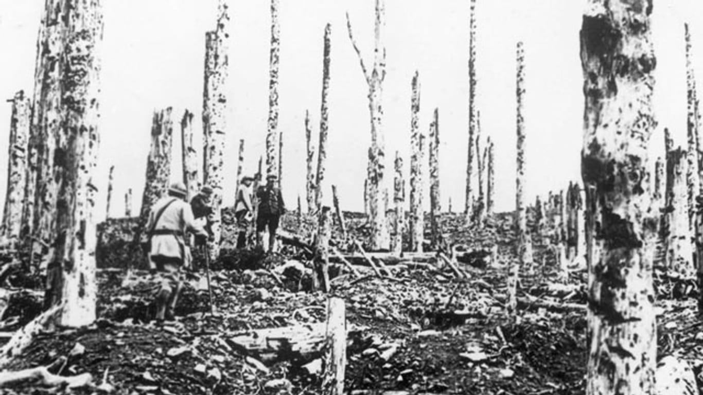 Eine zerstörte Kraterlandschaft: Der Hartmannsweilerkopf im November 1918