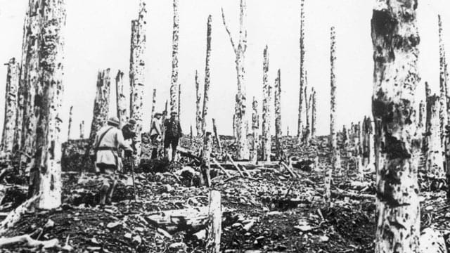 Eine zerstörte Kraterlandschaft: Der Hartmannsweilerkopf im November 1918