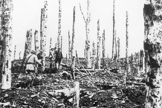 Eine zerstörte Kraterlandschaft: Der Hartmannsweilerkopf im November 1918