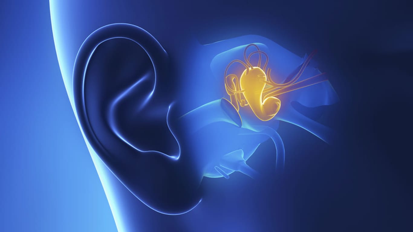Bakterien im Gehörgang können zu einer schmerzhaften Ohrenentzündung führen.