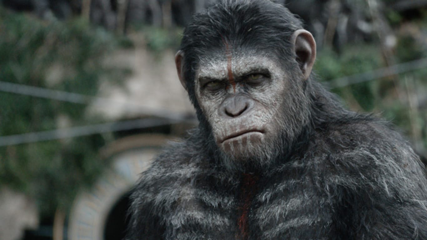 Kann Schimpanse Caesar einen Krieg zwischen Affen und Menschen verhindern?