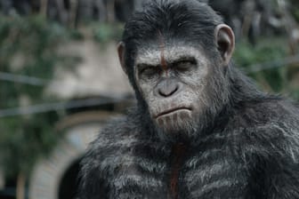 Kann Schimpanse Caesar einen Krieg zwischen Affen und Menschen verhindern?