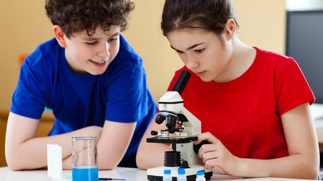 Kinder können mit einem Mikroskop spielerisch lernen