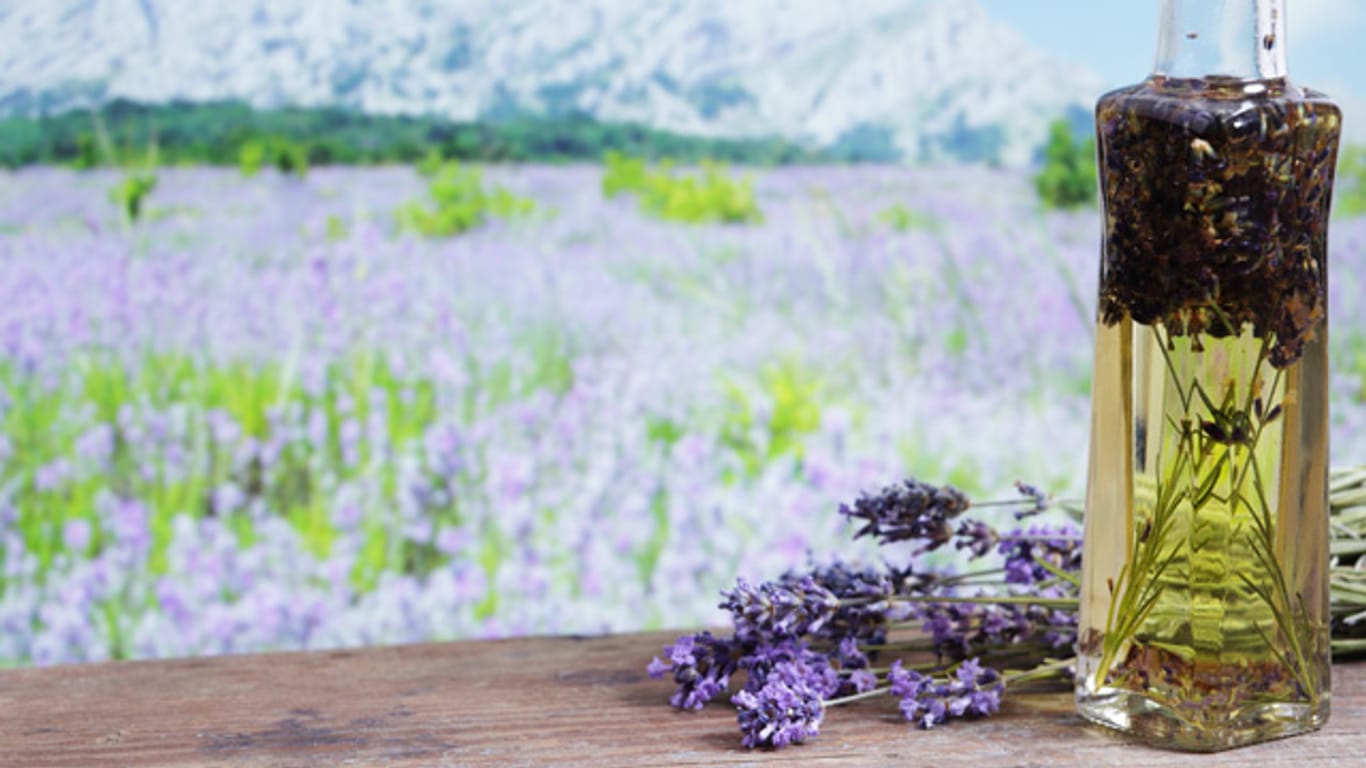 Lavendellikör kann in Maßen genossen gesundheitsfördern sein