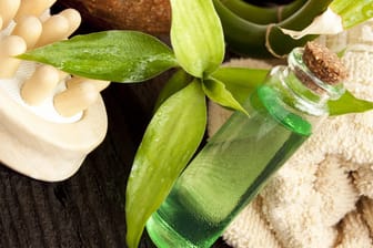 Teebaumöl hilft sowohl gegen fettige Haare als auch gegen fettige Haut