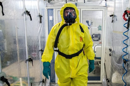 Das Ebola-Virus schaltet hoch effizient die Abwehrreaktionen aus - Forscher haben diesen raffinierten Mechanismus entschlüsselt