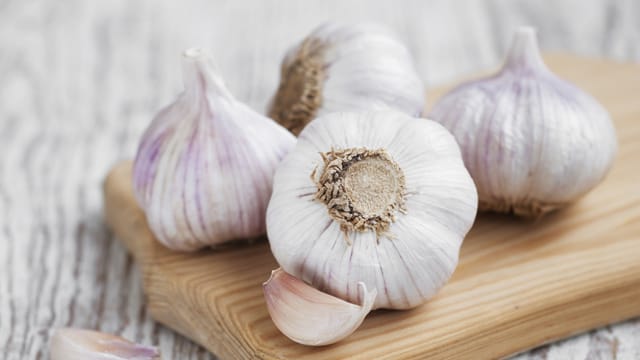 Knoblauch wird seit Jahrhunderten als Gewürz- und Heilpflanze verwendet