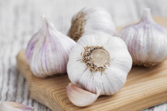 Knoblauch wird seit Jahrhunderten als Gewürz- und Heilpflanze verwendet