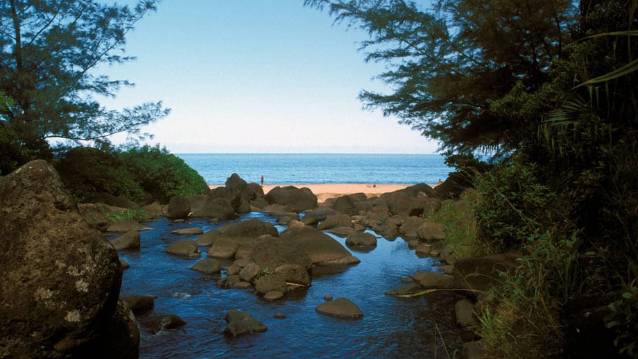 Der hawaiianische Hanakapiai Beach liegt idyllisch eingebettet im Norden der Insel Kauai. Doch Strandurlauber sollten die traumhaften Aussichten lieber aus sicherer Entfernung beobachten, da die starke Meeresströmung so manchen Besucher ins Wasser gerissen hat.