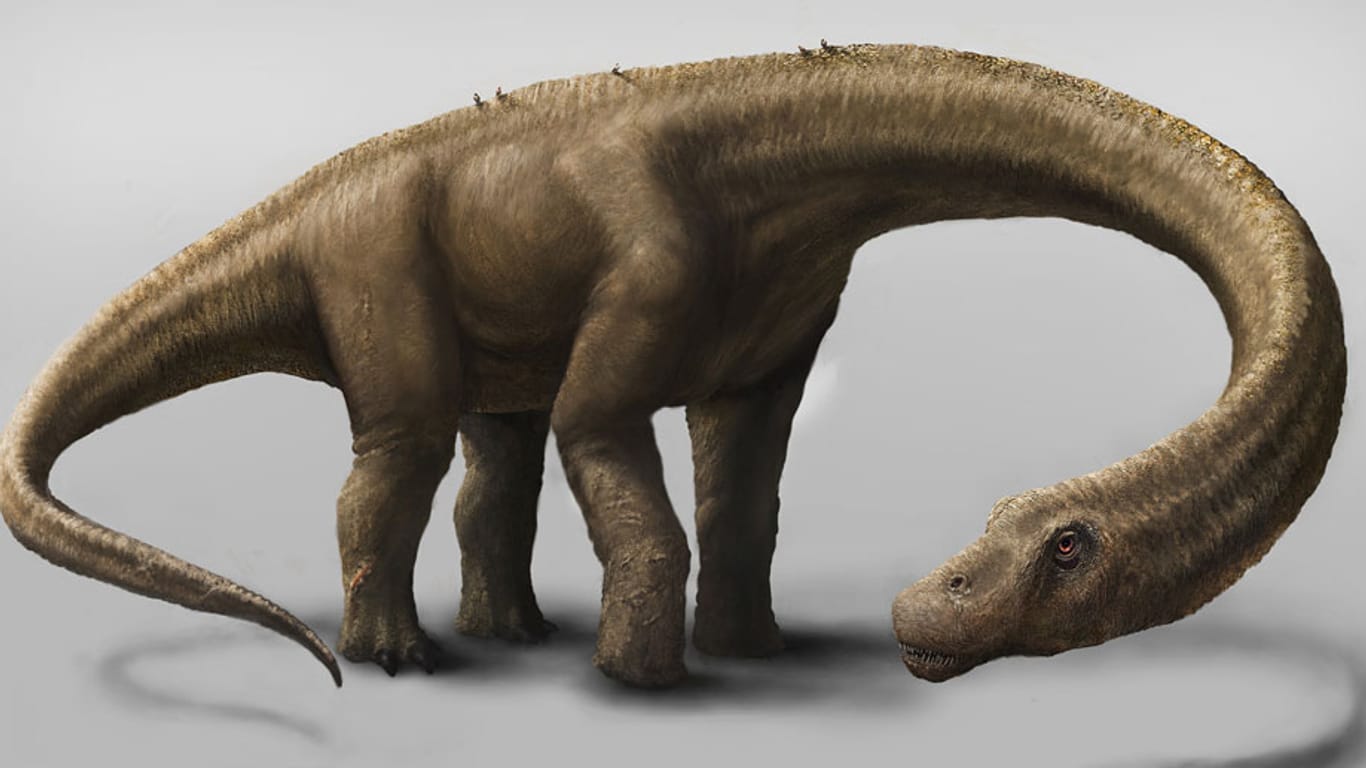 Forscher entdeckten in Argentinien einen der größten Dinosaurier weltweit. Es handelt sich um das am besten erhaltene Exemplar, das bisher gefunden wurde.