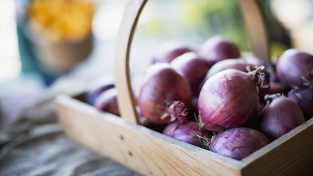 Zwiebeln können Sie entweder säen oder pflanzen