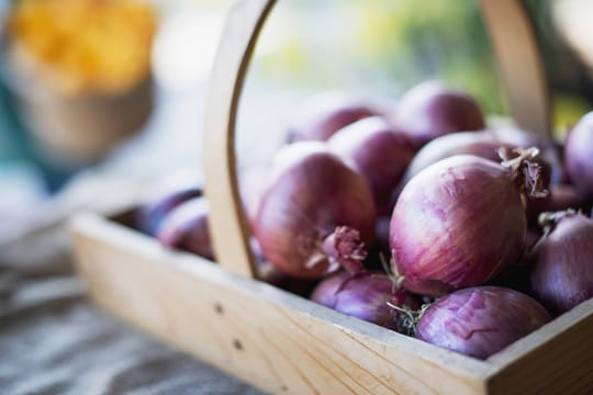 Zwiebeln können Sie entweder säen oder pflanzen