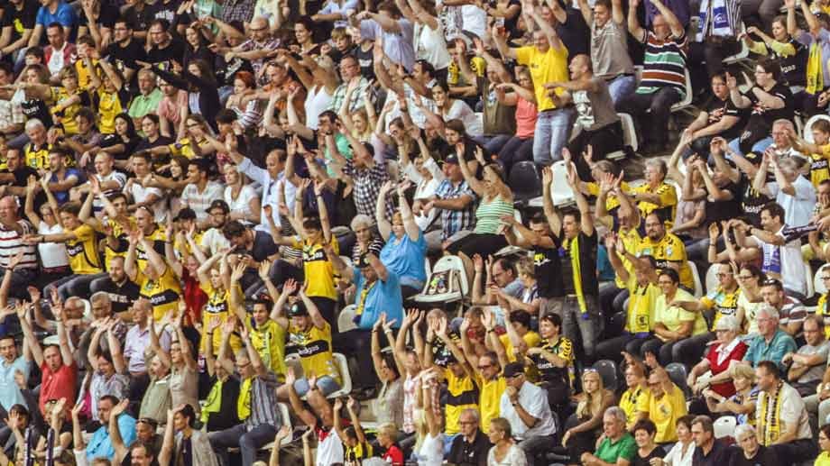 Fans feiern die Rhein-Neckar-Löwen mit einer La Ola.