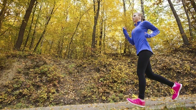 Treiben Sie Sport nur, wenn Sie vollständig gesund sind. Anderenfalls droht eine Hermuskelentzündung, die tödlich sein kann.