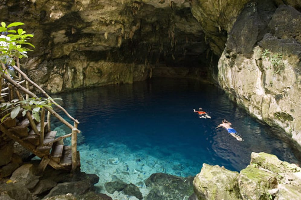 In Cenoten auf der mexikanischen Halbinsel Yucatán können Besucher geflutete Tropfsteinhöhlen und ihre Bewohner erkunden.