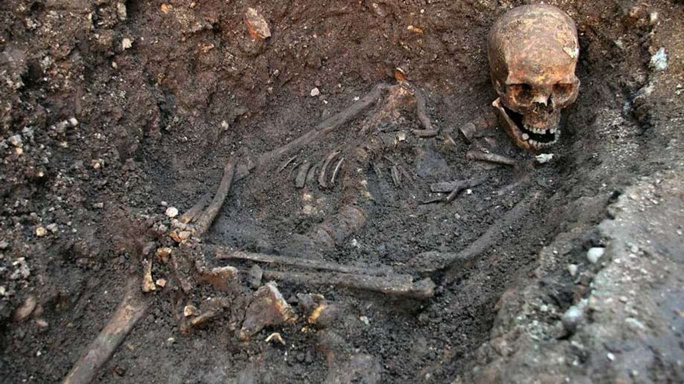 Die Universität Leicester veröffentlichte dieses Bild vom Skelett und dem Schädel Richards III.