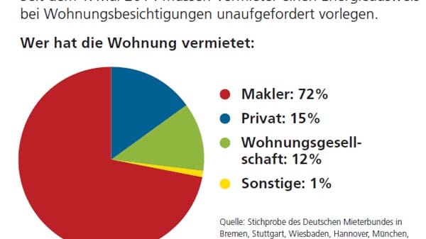 Auch Immobilienprofis ignorieren die Energieausweispflicht