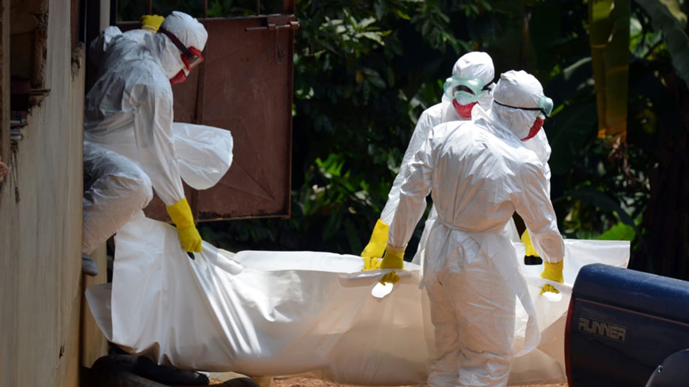 Mühsam und gefährlich ist der Kampf gegen Ebola in Afrika