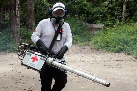 Chikungunya-Virus; El Salvador