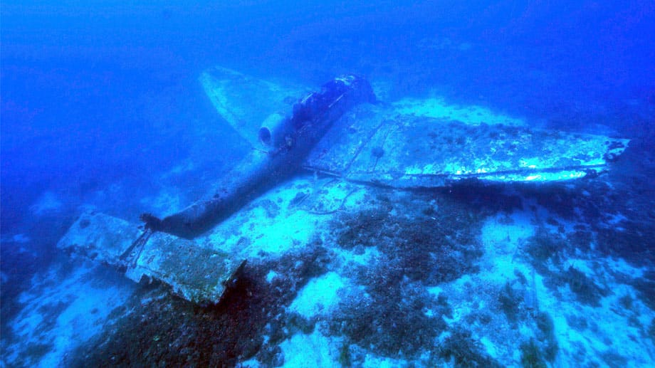 Die Junkers Ju 87 war im Zweiten Weltkrieg im Einsatz und gelangte unter der Abkürzung "Stuka" große Berühmtheit. Die Junkers Ju 87 war im Zweiten Weltkrieg im Einsatz und gelangte unter der Abkürzung "Stuka" große Berühmtheit.