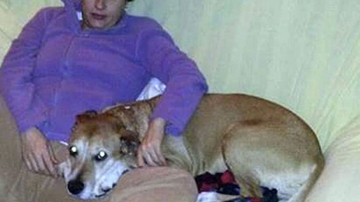 Der Hund der mit Ebola infizierten Spanierin ist eingeschläfert worden, damit er das Virus nicht übertragen kann