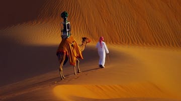 Mit der Google-Kamera auf dem Höcker schaukelte sich die Kameldame Raffia knipsend durch die Wüste.