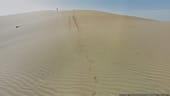 Der Nutzer kann den Spuren des Kamels folgen: An vielen Stellen sieht man seine Hufabdrücke im Sand. Auch andere Wüstenwanderer tauchen immer mal wieder auf den Fotos auf.