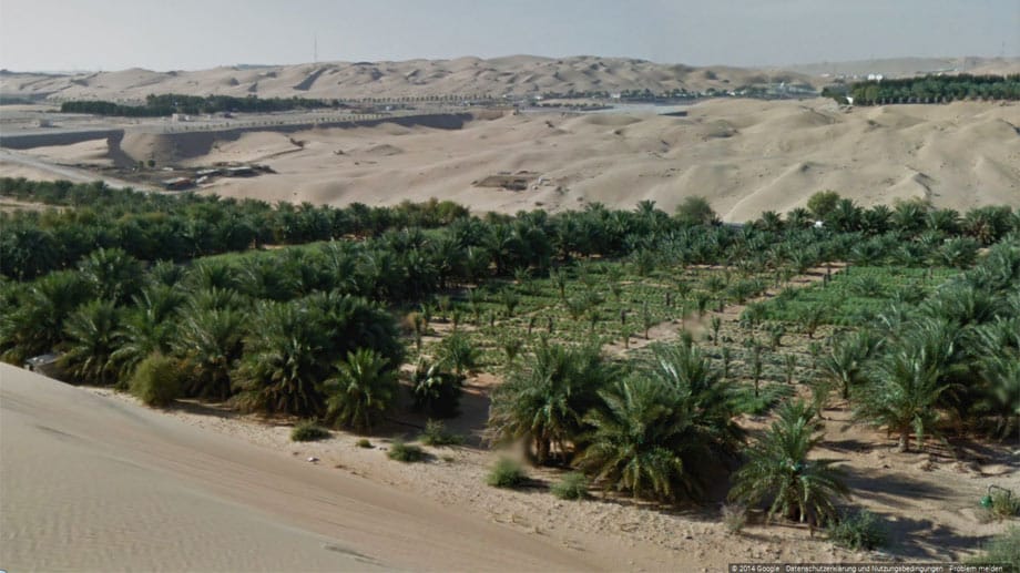 Die Liwa Oase ist die größte ihrer Art auf der arabischen Halbinsel. Sie besteht aus vielen kleinen Oasen und sehr vielen Sanddünen. Überall sieht man Dattelpalmen, deren Stämme und Früchte schon immer eine wichtige Rolle spielten.