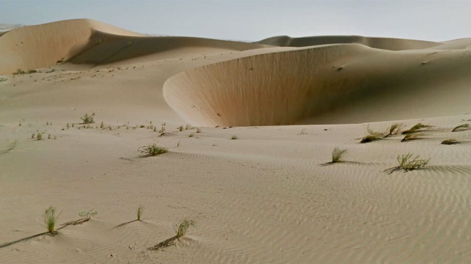 Die Schönheit der Wüste mit ihrem verschiedenfarbigem Sand fasziniert wohl alle Besucher.