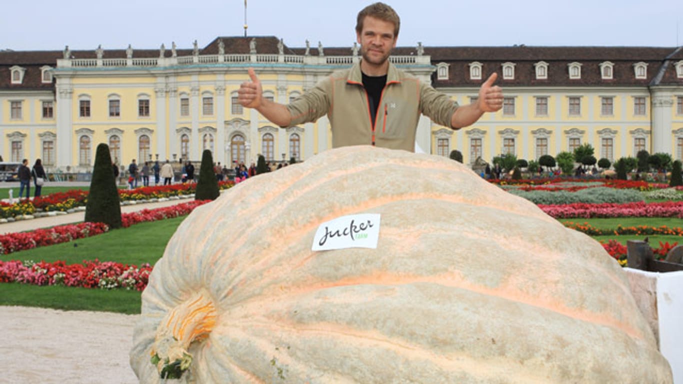 Der Kürbis des Schweizer Züchters Benni Meier bringt 1054 Kilo auf die Waage – Weltrekord.