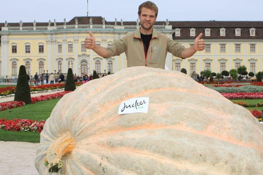 Der Kürbis des Schweizer Züchters Benni Meier bringt 1054 Kilo auf die Waage – Weltrekord.