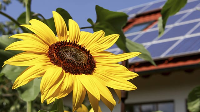 Bürger sind für weiteren Ausbau erneuerbarer Energien - trotz der hohen Kosten