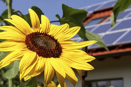 Bürger sind für weiteren Ausbau erneuerbarer Energien - trotz der hohen Kosten