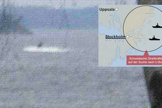 Diese schwarze Flosse im weißen Wasser hatte ein Amateur in den Schären vor Stockholm aufgenommen