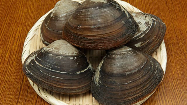 Venusmuscheln haben ein besonderes Aroma: nussig mit Geschmack mach Meer.