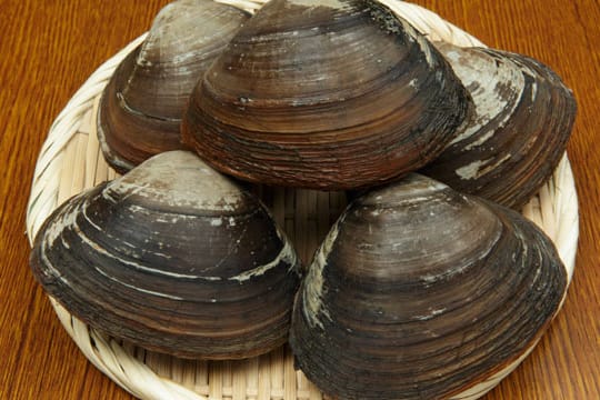 Venusmuscheln haben ein besonderes Aroma: nussig mit Geschmack mach Meer.