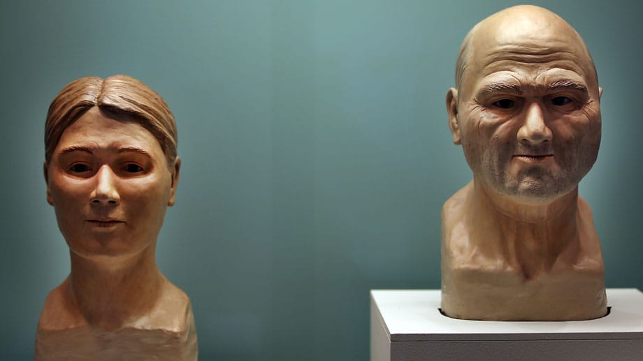 Rekonstruktionen der Gesichter des Oberkasseler Steinzeitmenschen