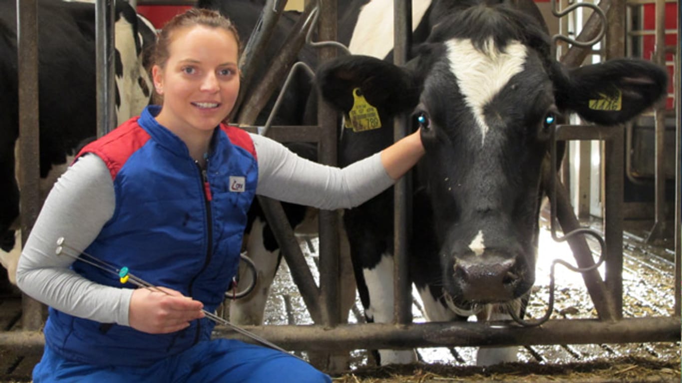 Ungewöhnlicher Job: Melissa Theis verdient ihr Geld mit der Besamung von Kühen.