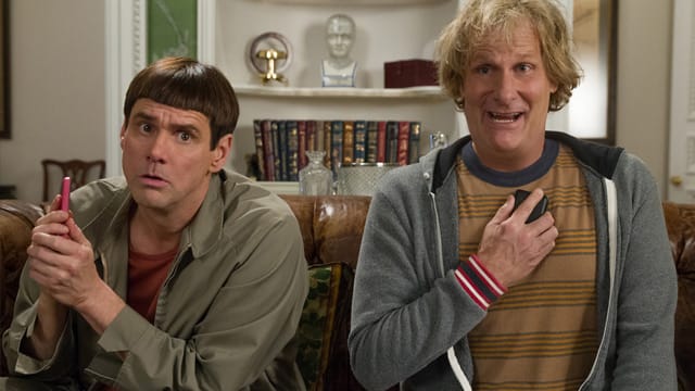 Bereit, die Grenzen des Schwachsinns neu auszuloten: Lloyd (Jim Carrey, li.) und Harry (Jeff Daniels)