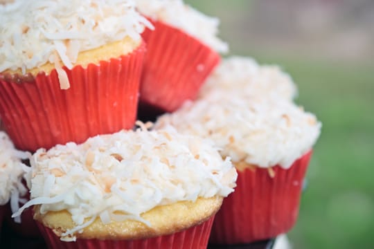 Das Topping mit Kokosraspeln passt besonders gut zu Cupcakes aus Zitronen-Teig