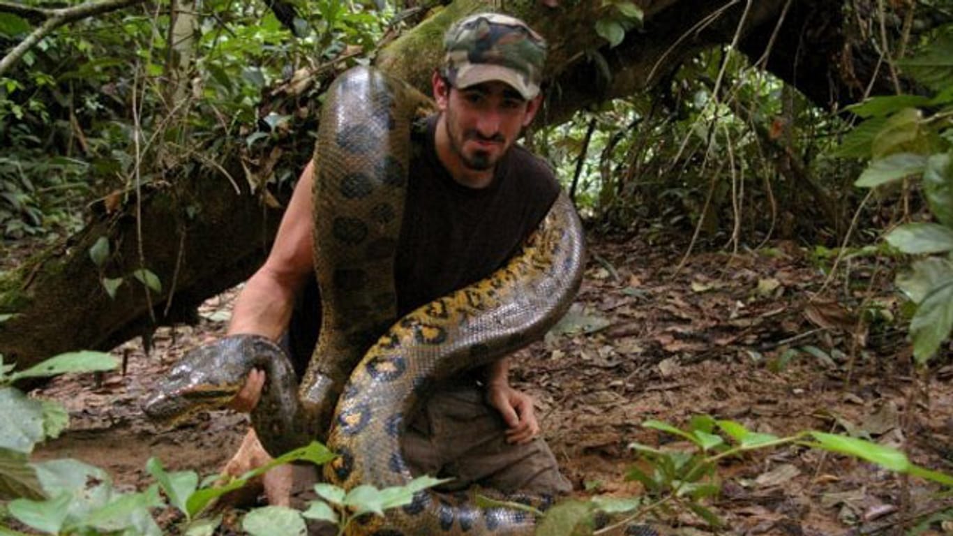 Ein US-amerikanischer Naturfilmer behauptet, er habe sich bei lebendigem Leib von einer Riesen-Anaconda verspeisen lassen