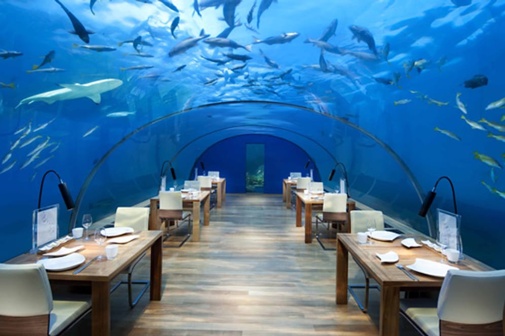 Unvergesslicher Essgenuss: Dieses Restaurant des Conrad Maldives Rangali Islands liegt unter Wasser.