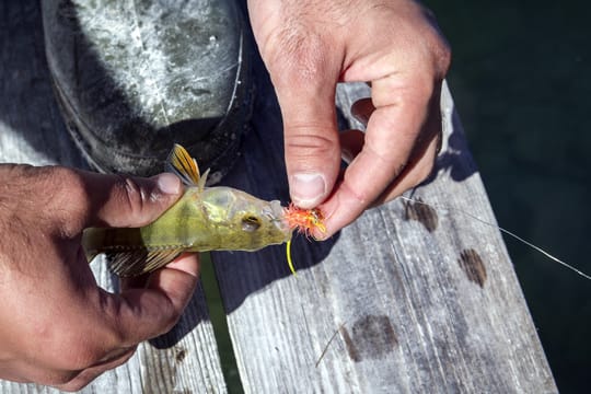 Das Hauptmerkmal beim Fliegenfischen: Der fliegenartige Köder