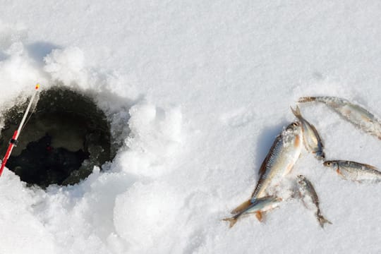 Zum Eisangeln benötigen Sie einen Eisbohrer oder einen Pickel